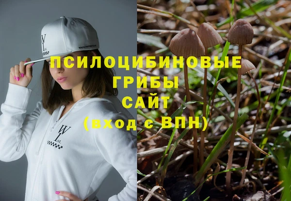 дживик Киренск