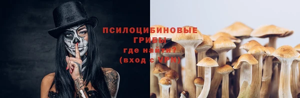 дживик Киренск