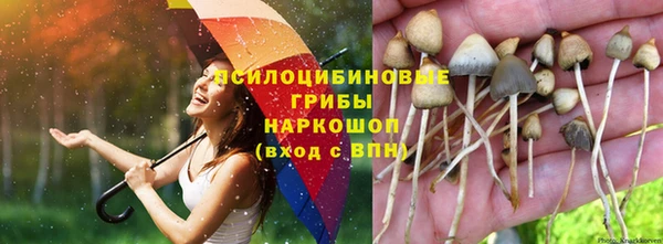 тгк Киреевск