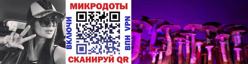 Купить закладки  Ростов  Галлюциногенные грибы прущие грибы 
